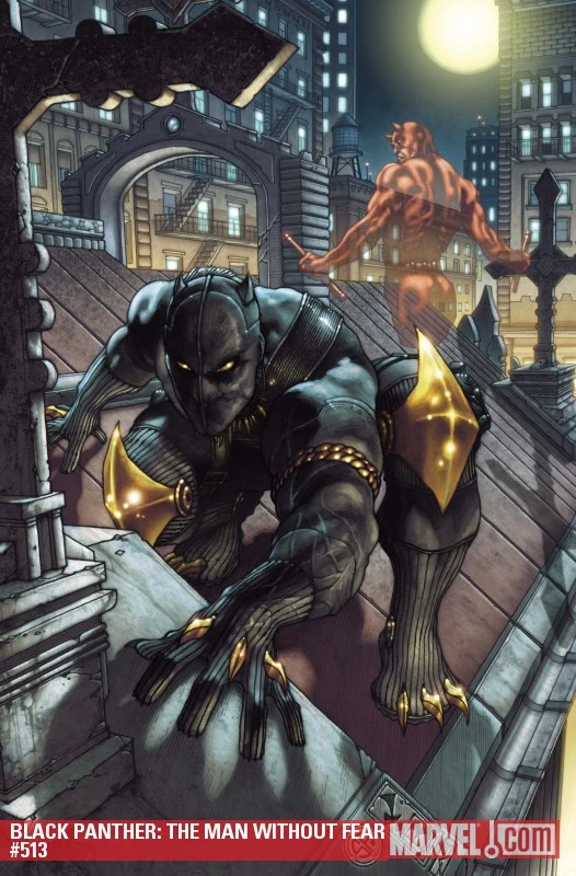Black Panther: The Man Without Fear / The Most Dangerous Man Alive (2011) #513