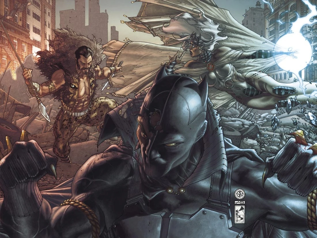 Black Panther: The Man Without Fear / The Most Dangerous Man Alive (2011) #519