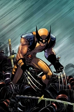 Wolverine / Dark Wolverine (2003) #20