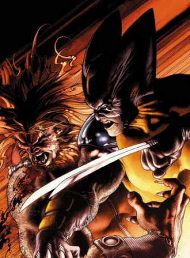 Wolverine / Dark Wolverine (2003) #51